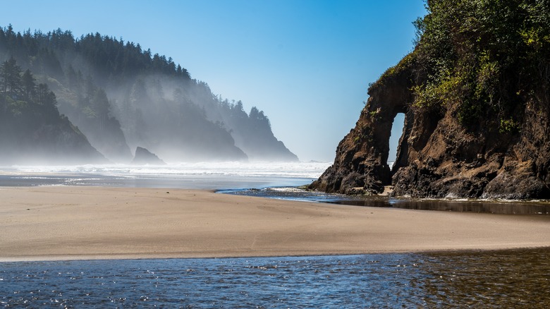 Le paysage robuste à Neskowin Beach, Oregon