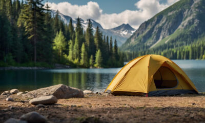 Trouver les meilleurs places de camping lors d'un road trip est facile grâce à cette option abordable