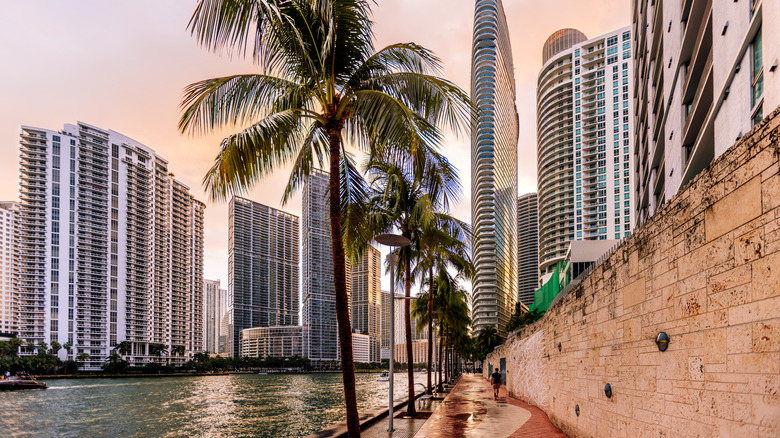 Les gratte-ciel peuvent être vus sur le front de mer de Miami avec des palmiers qui tapissent une passerelle