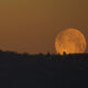 Pourquoi la lune a-t-elle l'air orange parfois?