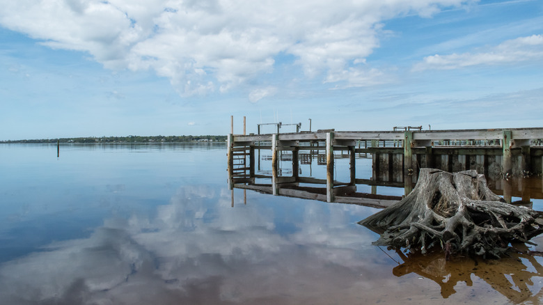 Pier avec du bois flotté et du ciel reflété dans l'eau