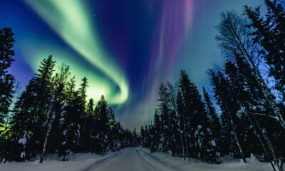Saviez-vous qu'Auroras peut réellement faire des sons?