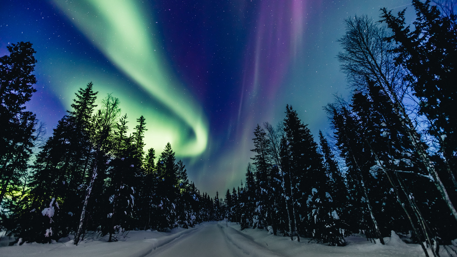 Saviez-vous qu'Auroras peut réellement faire des sons?