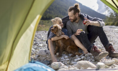 Que faire lorsque le chien de la famille s'enfuit en road trip ou en vacances