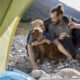 Que faire lorsque le chien de la famille s'enfuit en road trip ou en vacances