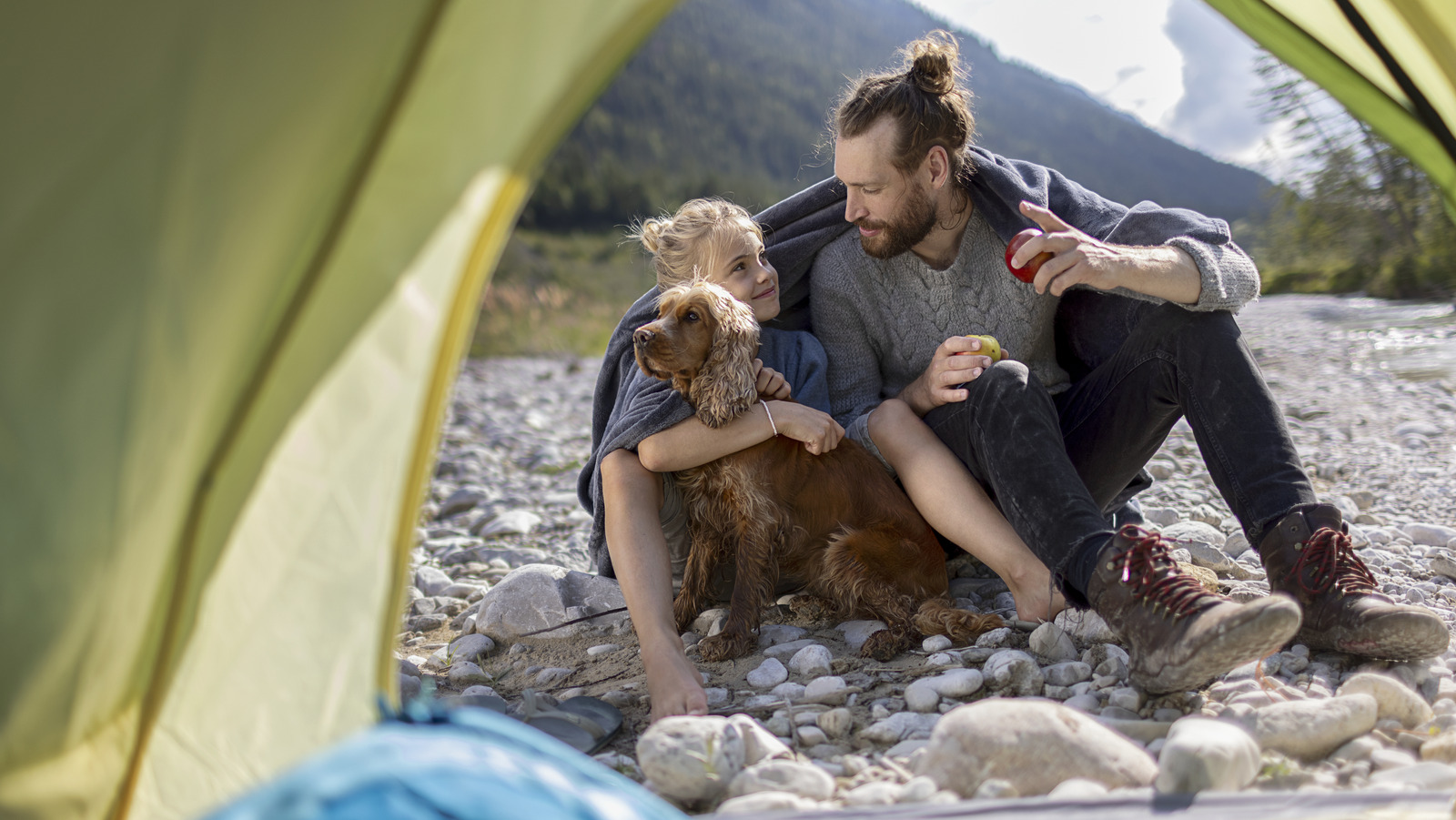 Que faire lorsque le chien de la famille s'enfuit en road trip ou en vacances