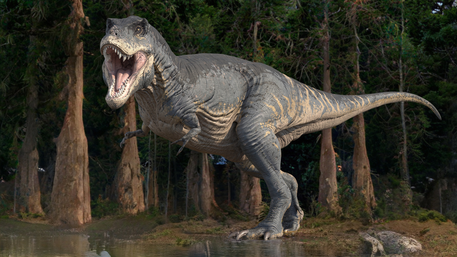 Et si T. Rex avait de longs bras?