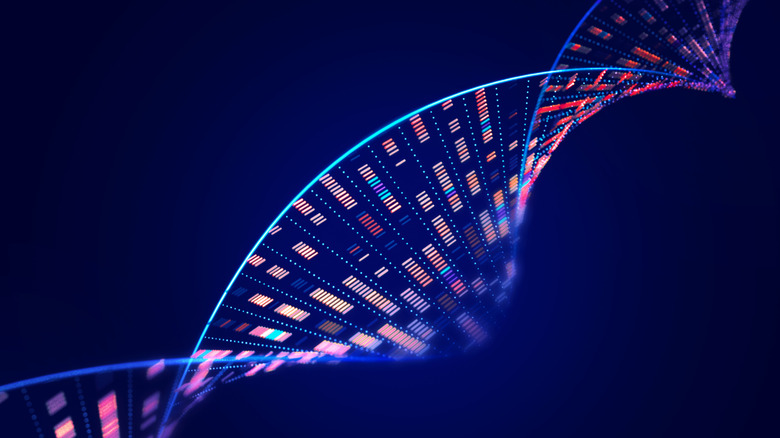 Structure moléculaire d'ADN avec séquençage des données du génome humain