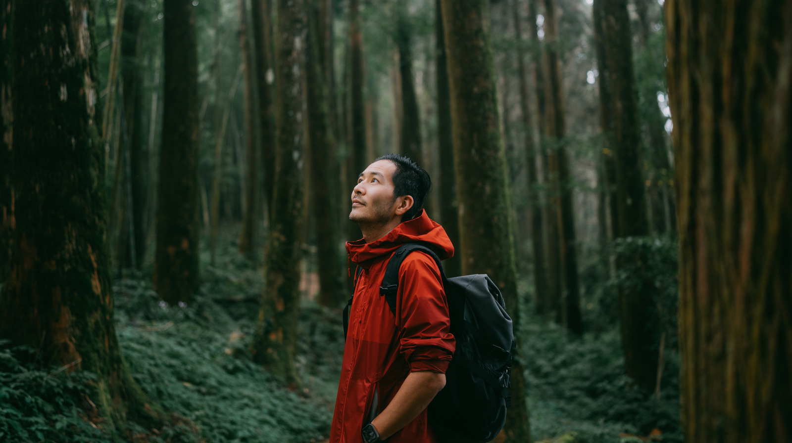 Le plan de sauvegarde que chaque randonneur a besoin pour des voyages plus sûrs
