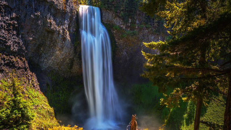 Un coup de Salt Creek de l'Oregon tombe de près de la base