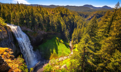 La deuxième cascade de chute unique la plus élevée de l'Oregon est un site enchanteur avec des sentiers de randonnée panoramiques