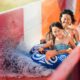 Le parc aquatique adapté aux familles avec les seuls montagnes russes hydromagnétiques de la Californie