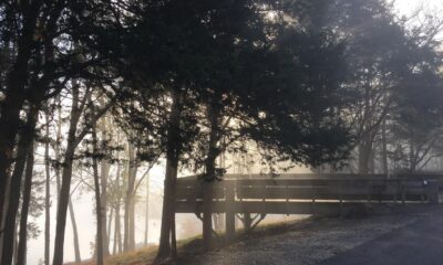 Ce parc d'État du Tennessee possède des plateformes de camping uniques juste au-dessus d'un lac éblouissant