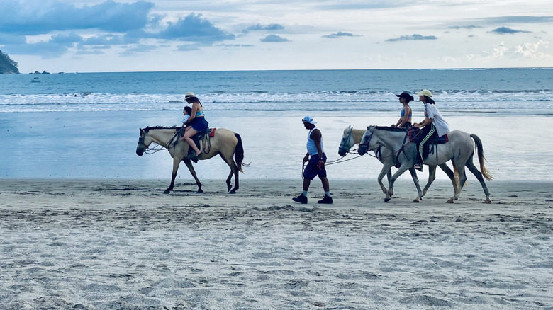 Les voyageurs font une visite à cheval le long de la plage de Samara