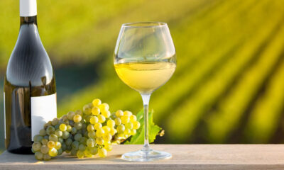 Vineyards Vs. Vinières: quelle est la grande différence et pourquoi vous devez savoir