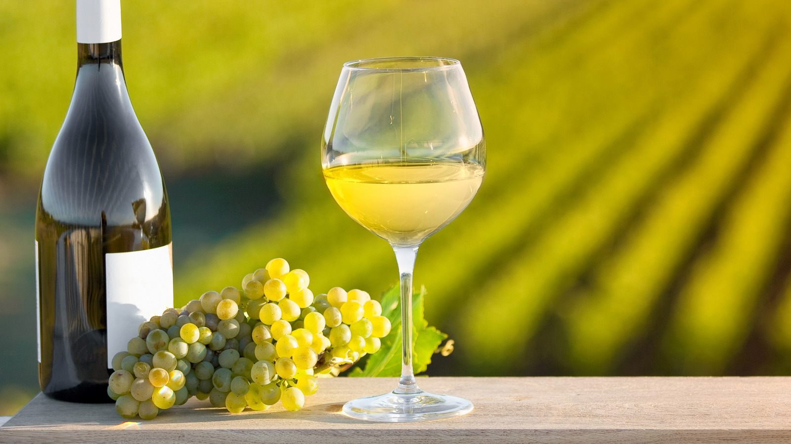 Vineyards Vs. Vinières: quelle est la grande différence et pourquoi vous devez savoir