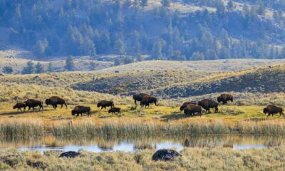 Cette tendance libératrice de «terre de plongée en apnée» encourage les randonneurs à vraiment vivre le plein air