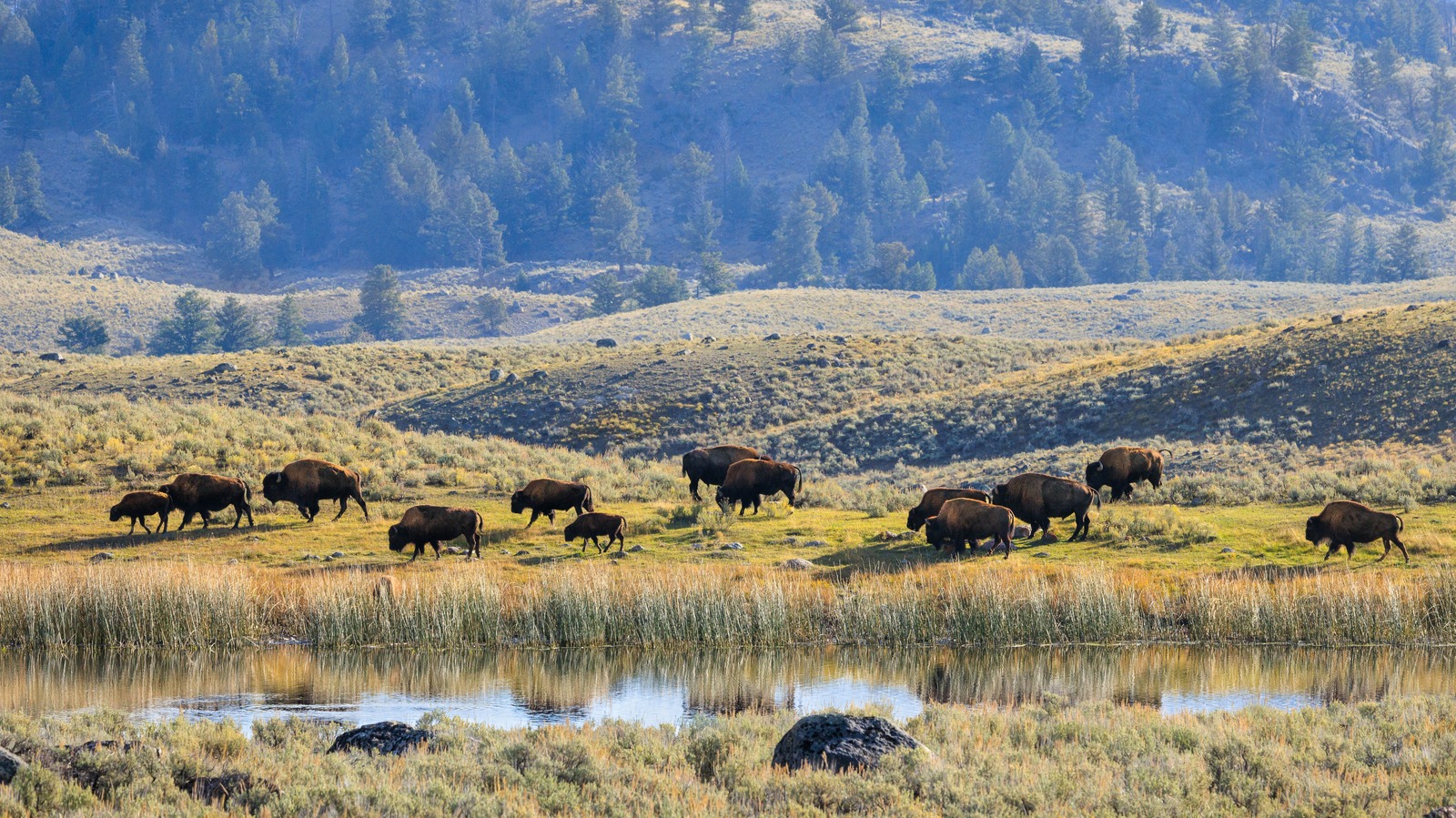 Cette tendance libératrice de «terre de plongée en apnée» encourage les randonneurs à vraiment vivre le plein air