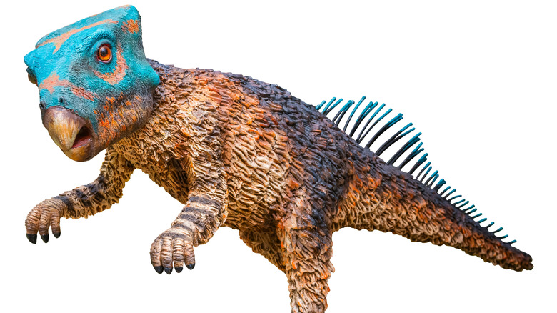 Aquilops sur fond blanc