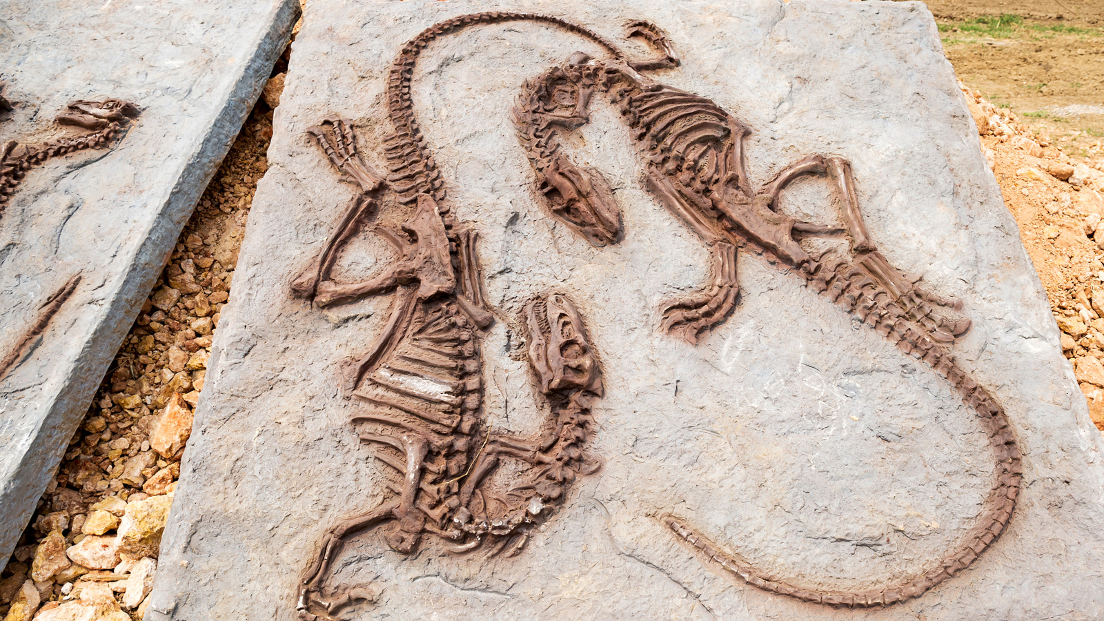 7 des plus petits dinosaures à avoir jamais existé