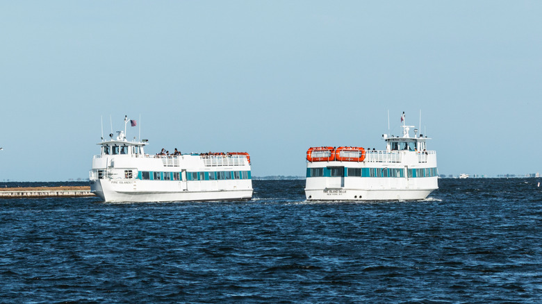 Deux ferry-bateau en eau libre