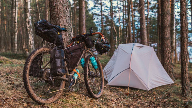 Un vélo est stationné à côté d'une tente dans les bois