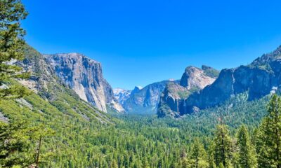 Les Rangers Yosemite souhaitent que les touristes soient traités ces bestioles comme les animaux dangereux qu'ils sont