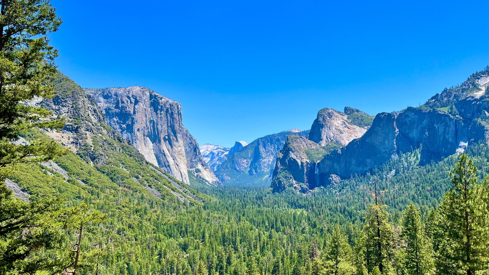 Les Rangers Yosemite souhaitent que les touristes soient traités ces bestioles comme les animaux dangereux qu'ils sont