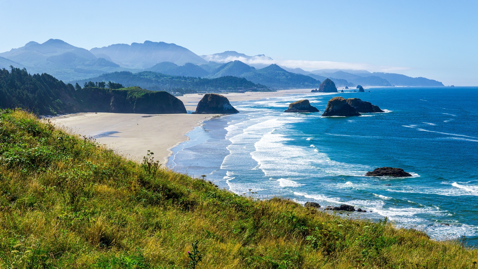 La raison dangereuse d'éviter potentiellement de nager sur les plages incroyablement pittoresques de l'Oregon