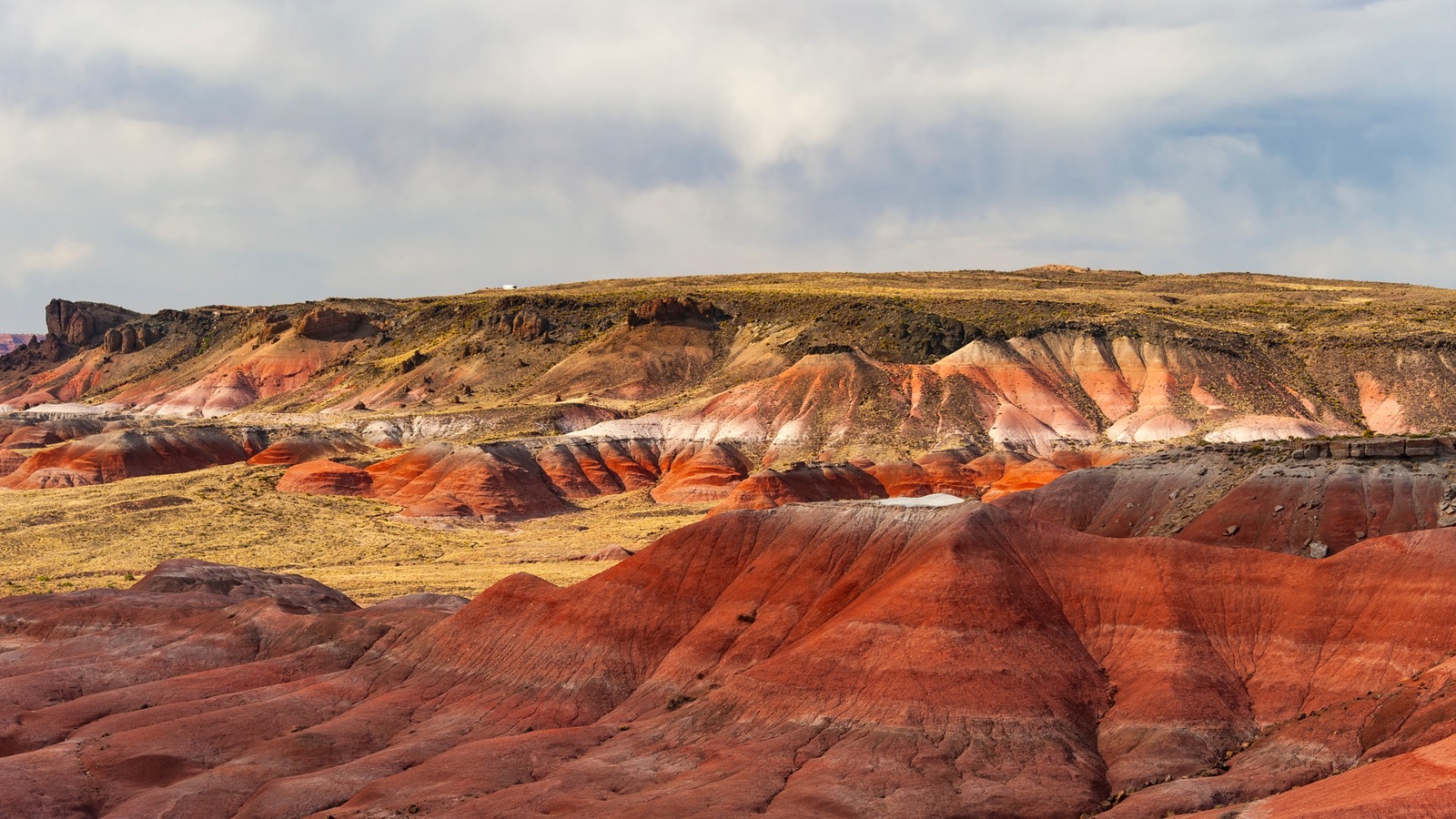 Le parc national impressionnant de l'Arizona possède des fossiles et le paysage du désert le plus coloré