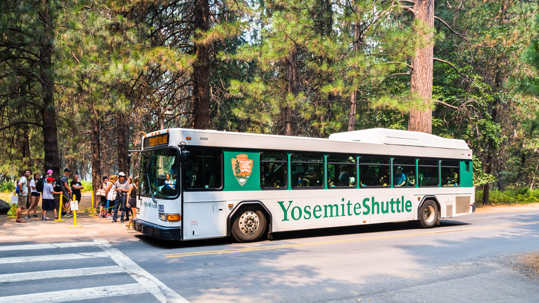 Bus de navette Yosemite