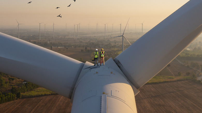 Deux travailleurs debout au sommet d'éoliennes