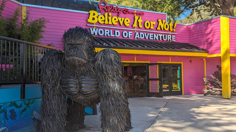 Newport, Oregon, Ripley's croyez-le ou non! musée