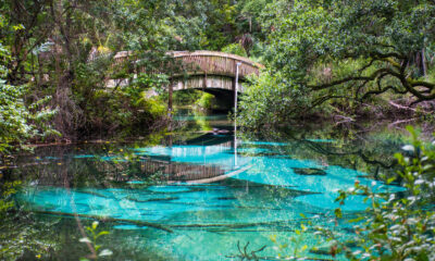 La forêt nationale luxuriante de la Floride est aimée pour sa faune, ses lacs turquoise et son plaisir en plein air