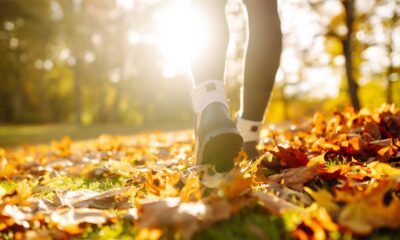 Cet équipement sous-estimé change la donne pour éviter les douleurs aux pieds sur les longues randonnées et les sentiers