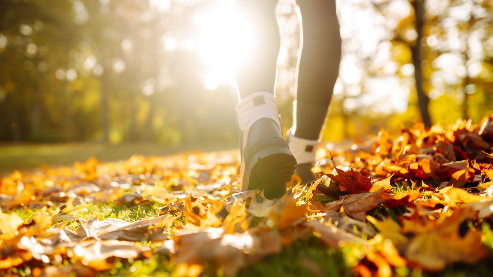 Cet équipement sous-estimé change la donne pour éviter les douleurs aux pieds sur les longues randonnées et les sentiers