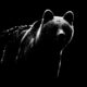 La plus grande espèce d'ours est aujourd'hui rien comparé à ce cauchemar préhistorique