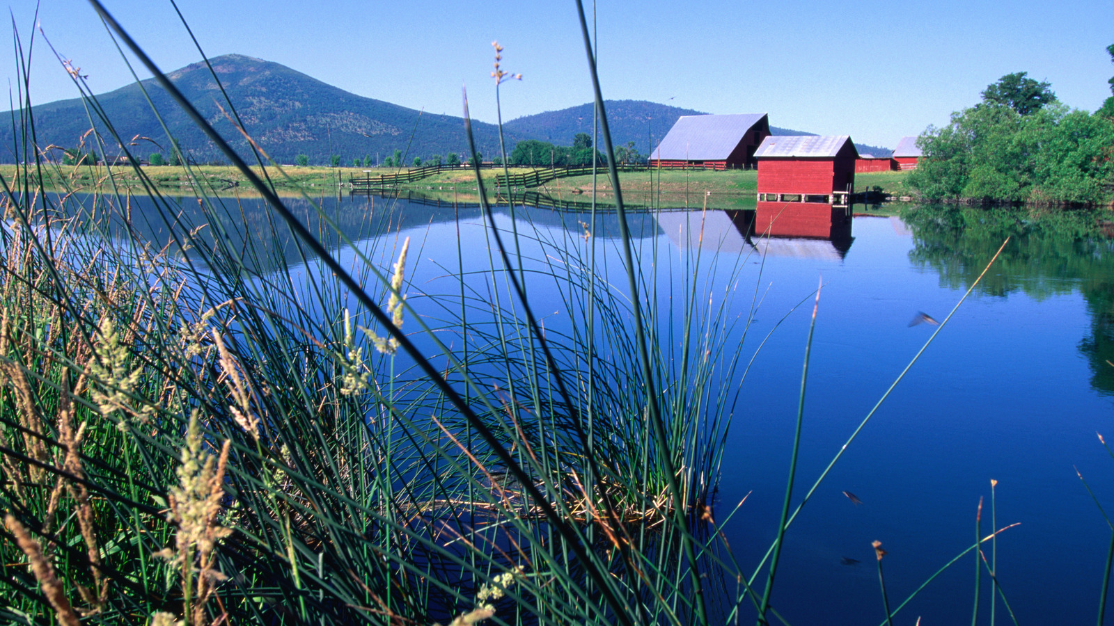 Le paradis du pamdler californé en Californie est un parc d'État avec des rives volcaniques et des sources sereins