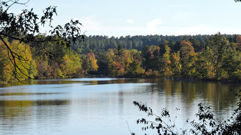 Scenic Lake Badin à l'automne, forêt nationale d'Uwharrie, Caroline du Nord