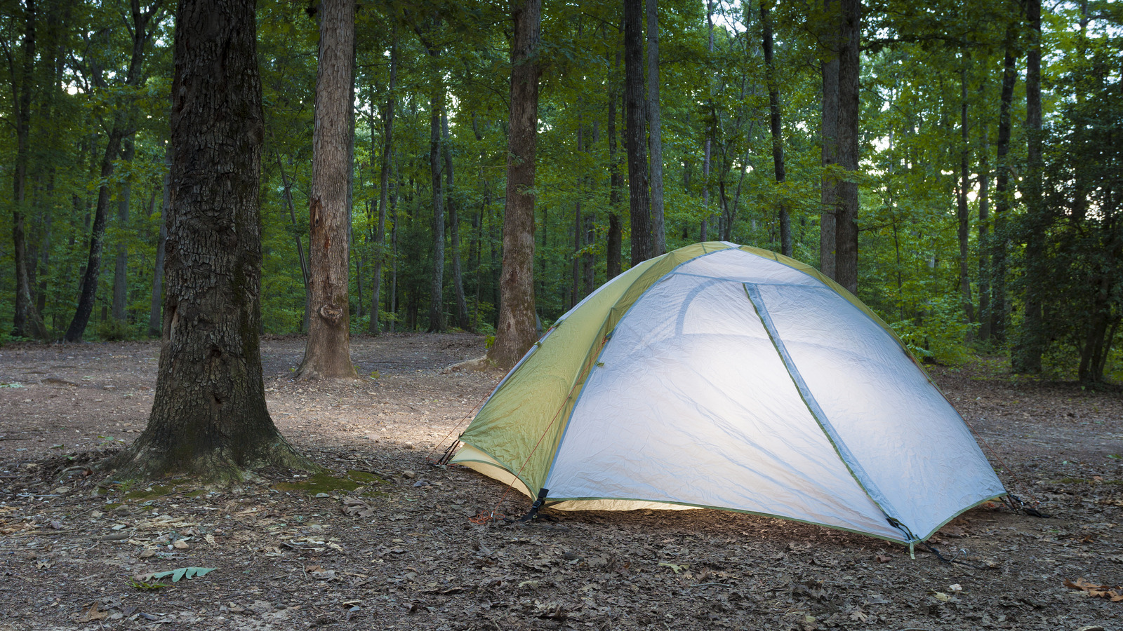 Ce coin de montagne mystique de Caroline du Nord a caché des lacs et des légendes de Bigfoot
