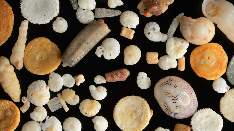 Un gros plan extrême de grains de sable de corail sur fond noir