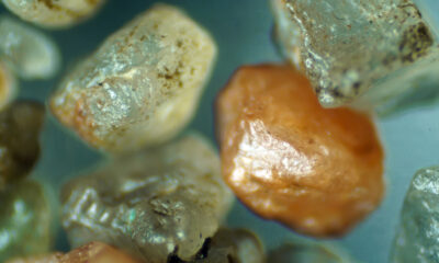 Tous les sables ne se ressemblent pas au microscope