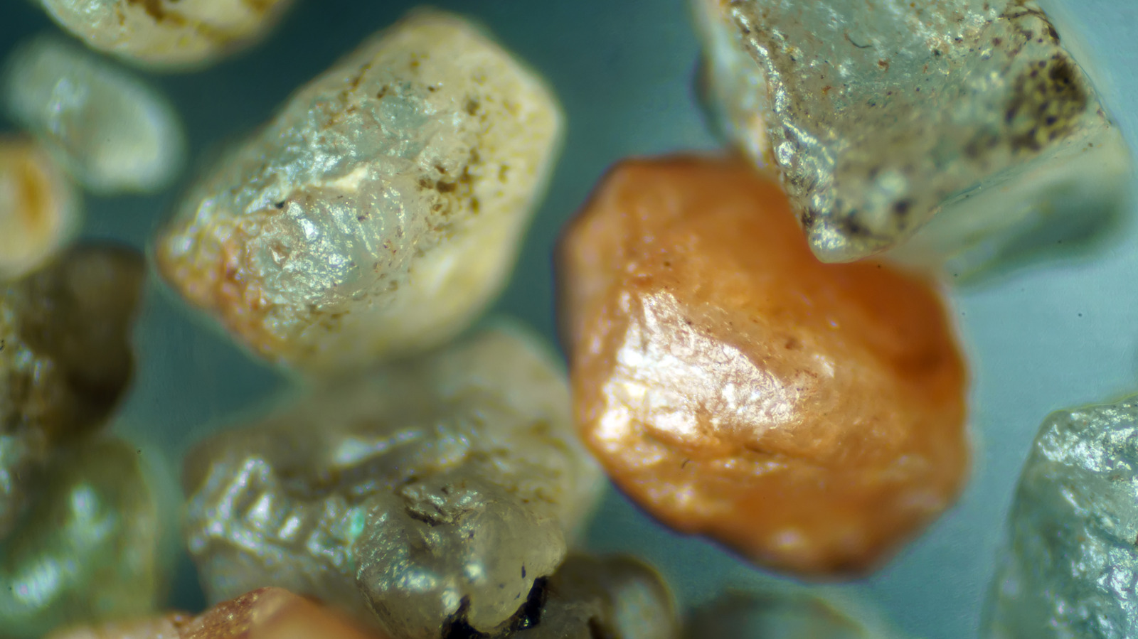 Tous les sables ne se ressemblent pas au microscope