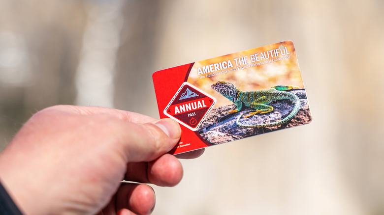 Une personne tient une Amérique la belle passe interitienscy dans sa main