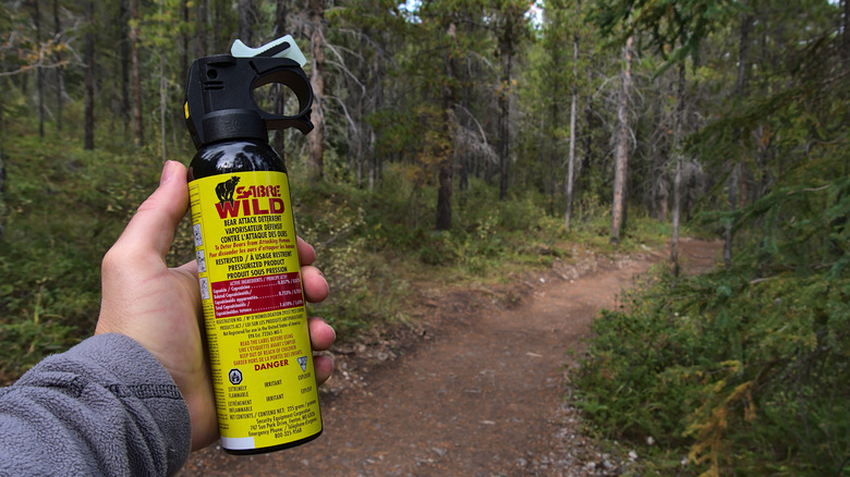Un homme tient une boîte d'ours dans les bois