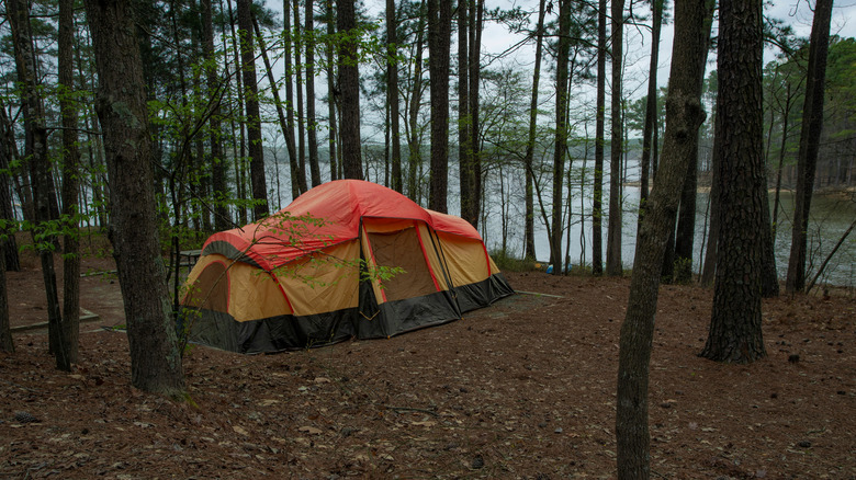 Tente installée sur le lac Jordan, Caroline du Nord