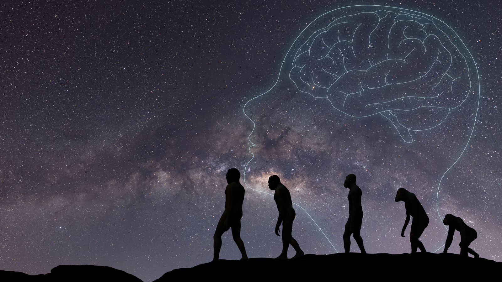 Human Evolution Discovery étourdit les scientifiques: nous étions partis de 40 millions d'années