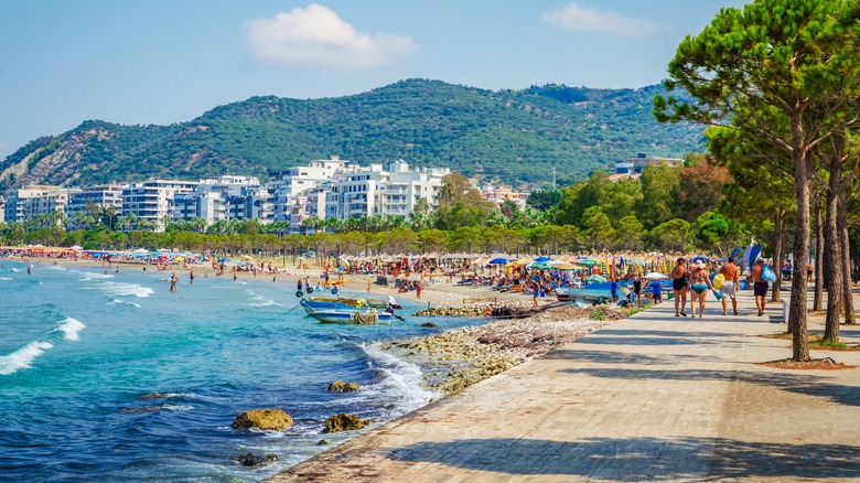 Promenade bordé d'arbres le long de la plage animée