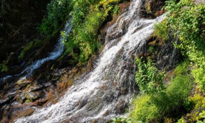 L'une des merveilles naturelles les plus visitées de Caroline du Nord est une belle cascade en cascade