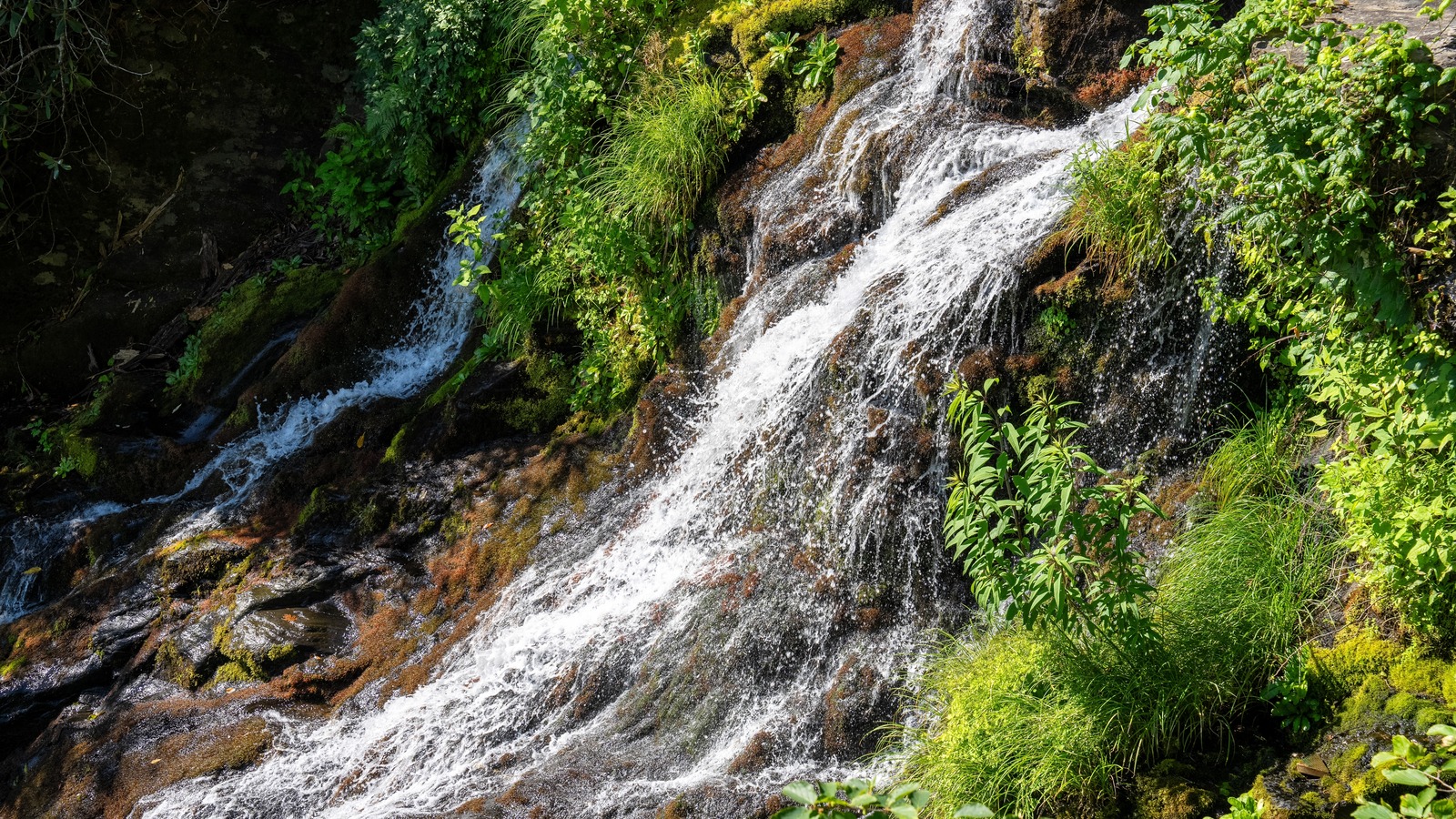L'une des merveilles naturelles les plus visitées de Caroline du Nord est une belle cascade en cascade